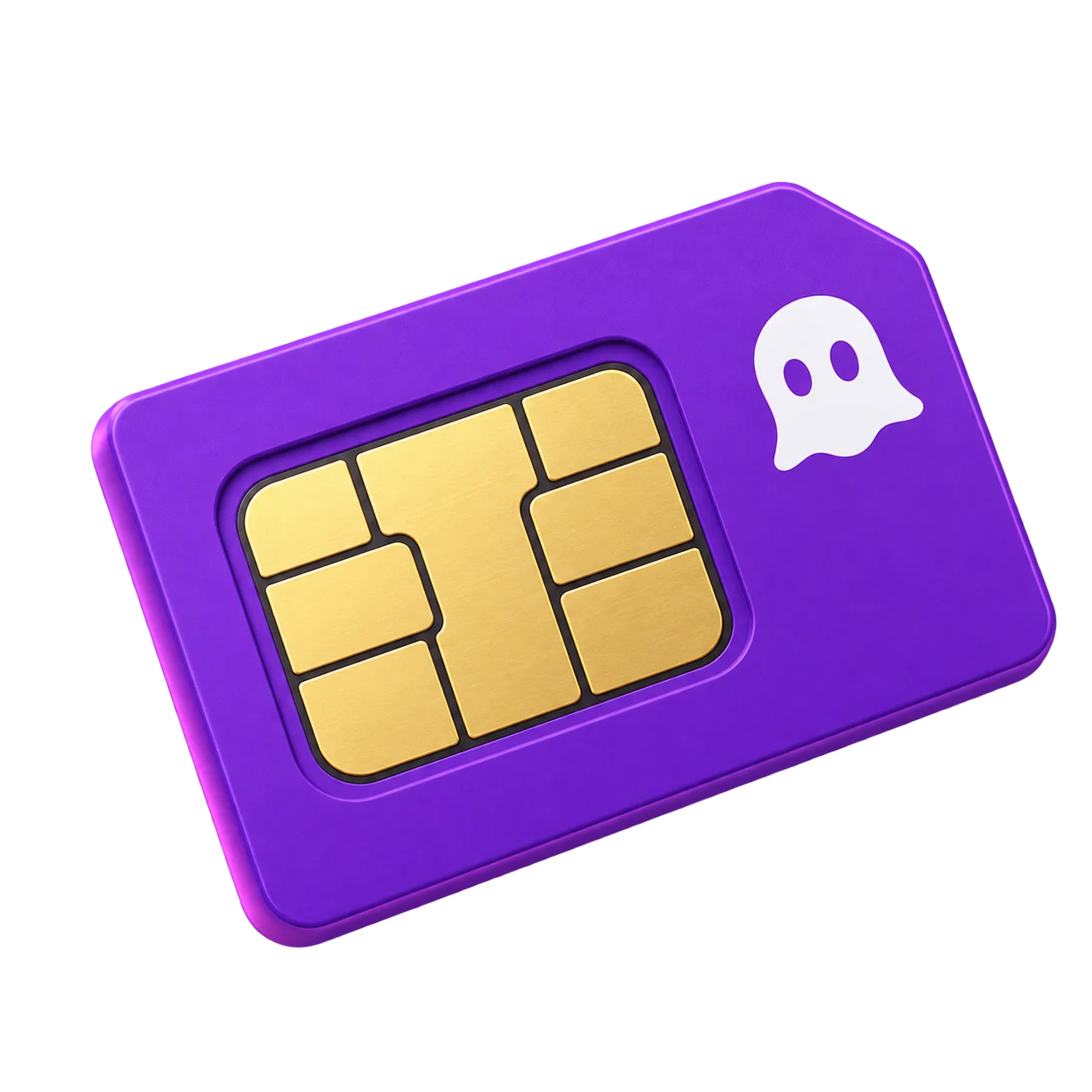 Russian PGP Encrypted Physical SIM