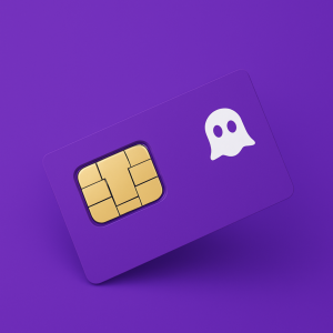 Encrypted SIM Card