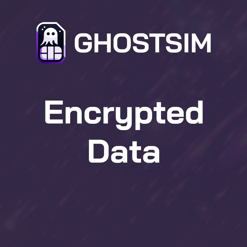 encrypted data sim card